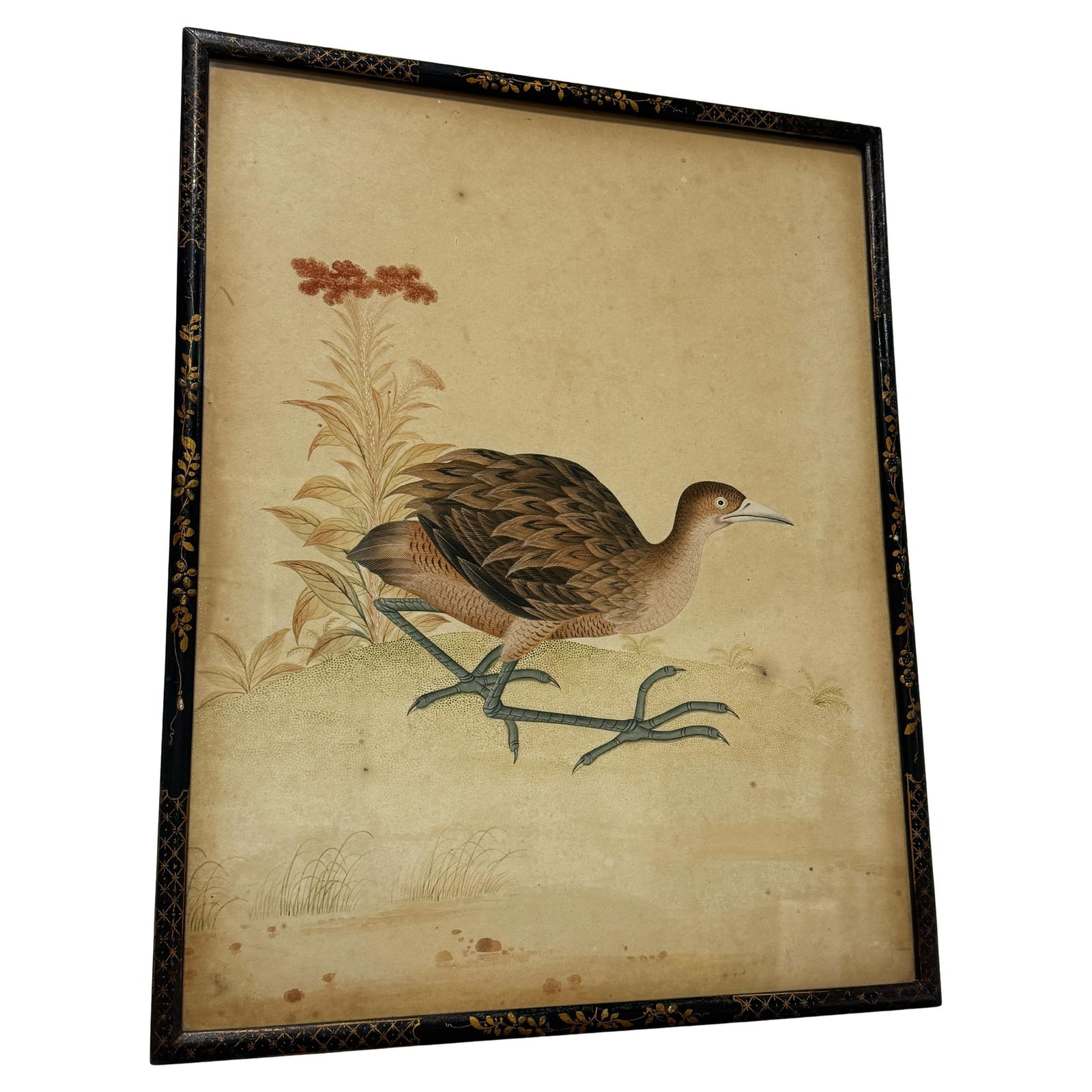 Chinese Export School Marsh Bird Watercolor Early 19th Century Framed Artwork: Chinese Export School Marsh Bird Watercolor Early 19th Century Framed Artwork This finely detailed Chinese School watercolor from circa 1800 features a long-legged marsh bird depicted in profile again