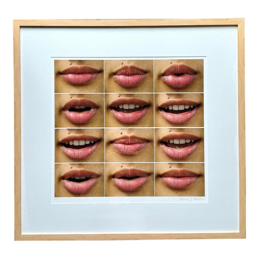 Pop Art Framed Lips Montage Photograph on Rag Bright Paper 36.75 x 35: Pop Art Framed Lips Montage Photograph on Rag Bright Paper 36.75 x 35 This large framed photograph showcases a grid montage of lips, with a vibrant and clean visual style that conveys a conceptual mes