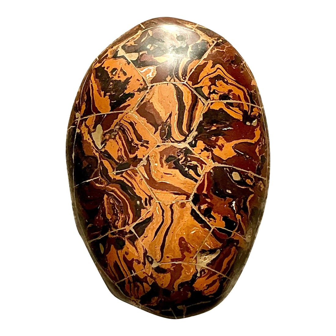 Handcrafted Scagliola Turtle Shell Sculpture in Pigmented Plaster Boho Decor (1 of 9)