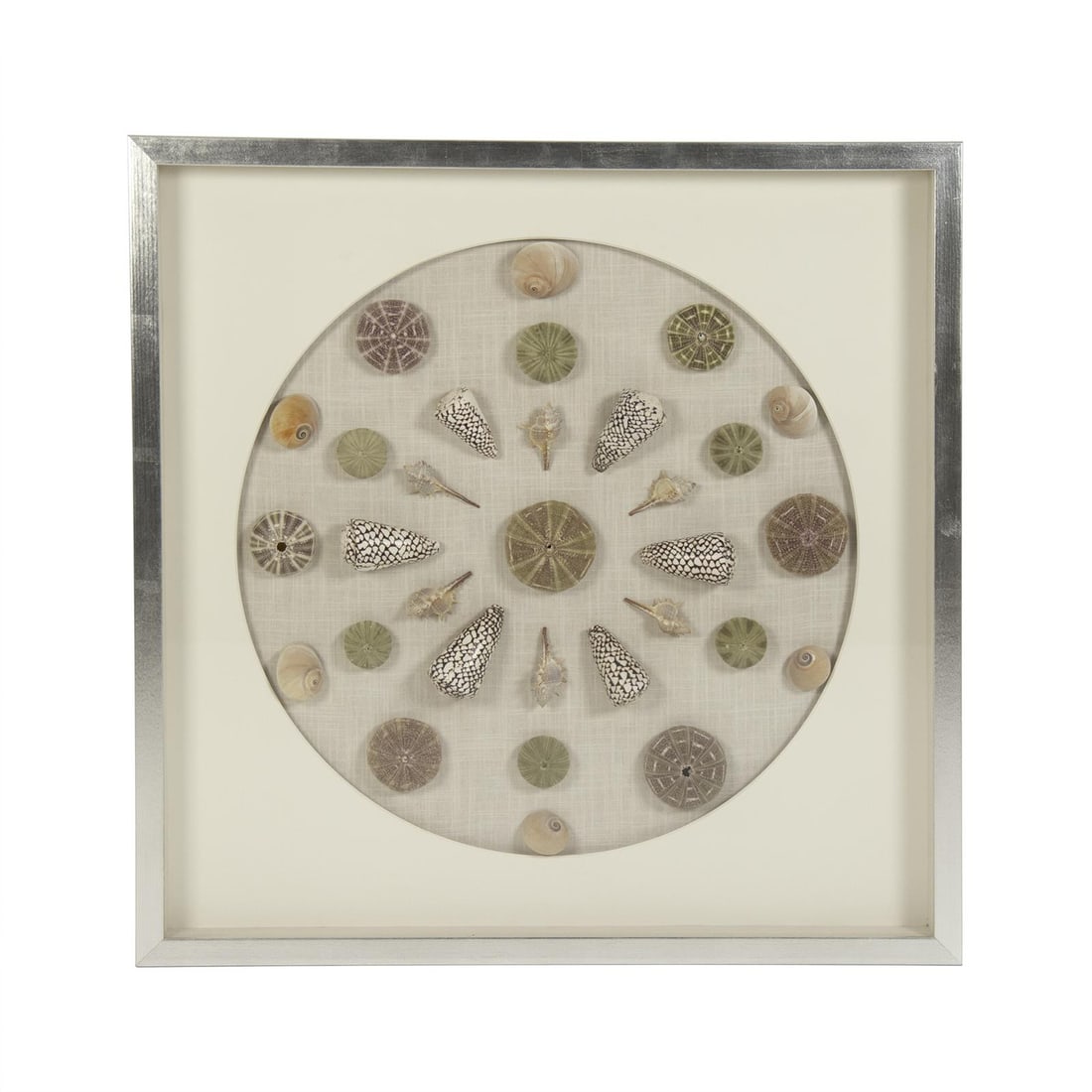 Zentique Timeless Abstract Shell Wall Art 31.50x31.50 Inches (1 of 3)