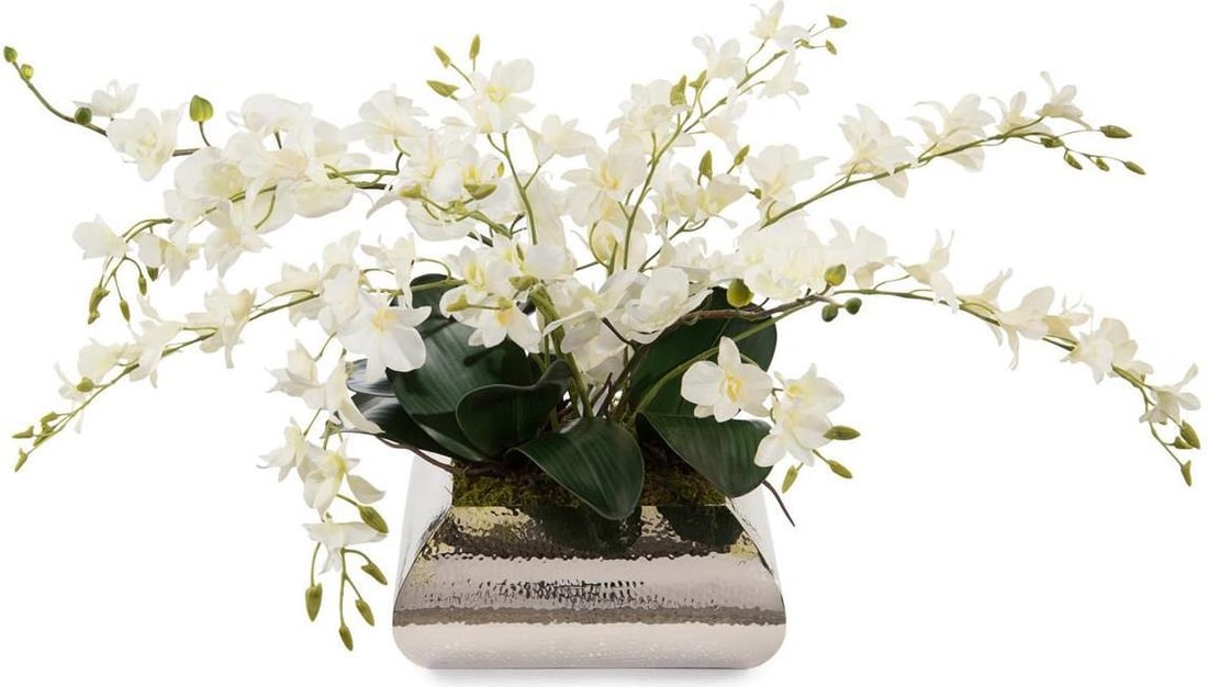 John-Richard Dendrobium Phalaenopsis Orchid Arrangement 22H 36W 34D Nickel-Plated Urn (1 of 1)