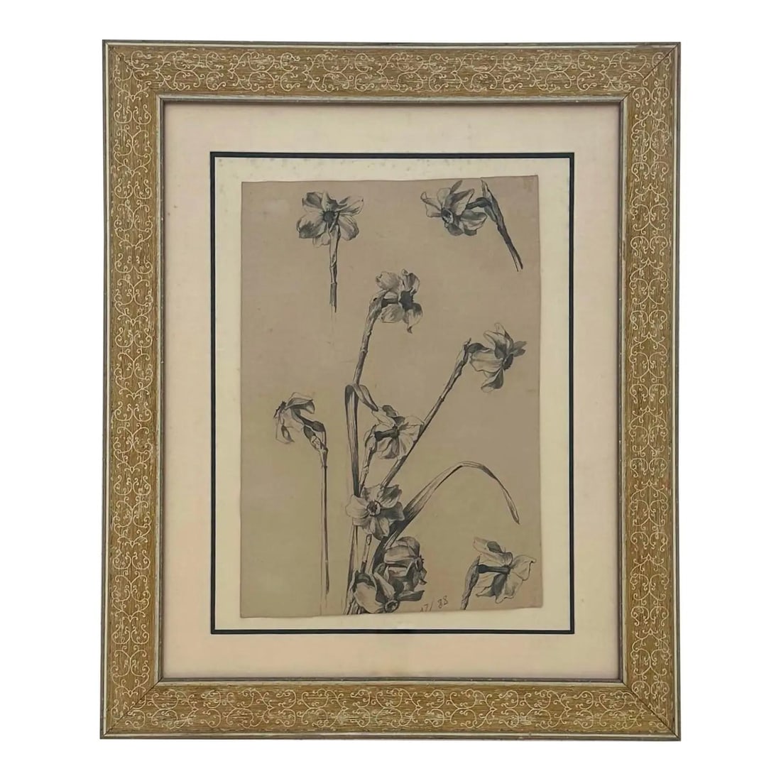Framed Botanical Illustration Pencil Drawing on Paper 24.0 x 29.0 (1 of 5)
