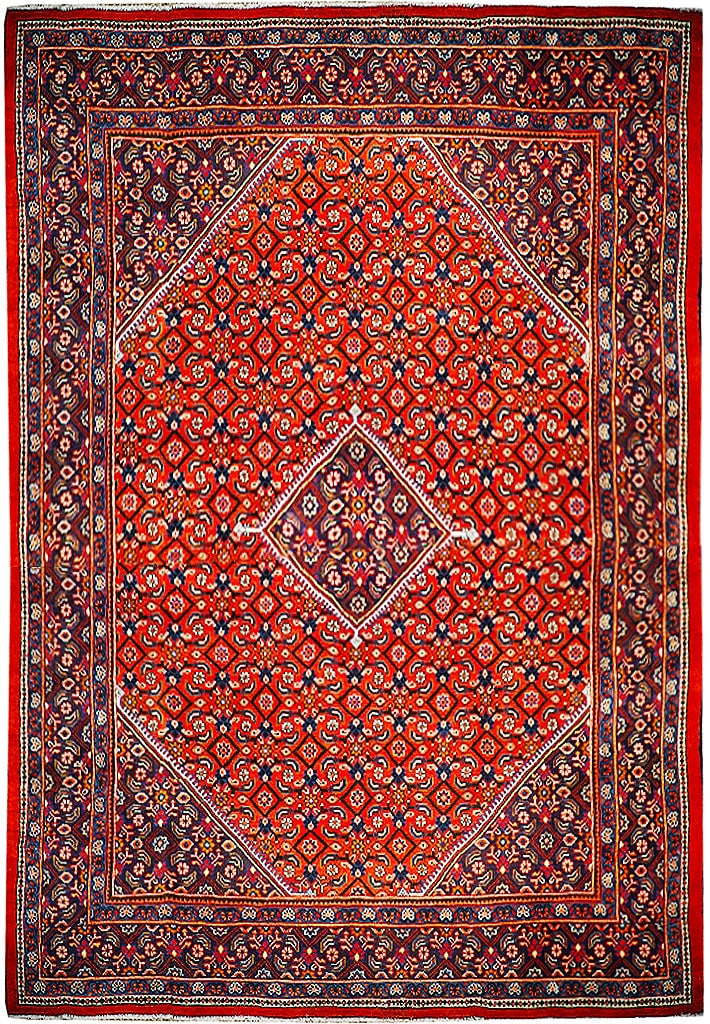 Orange Herati Persian Tabriz Rug 9'11 x 13'1 Handcrafted Wool (1 of 6)