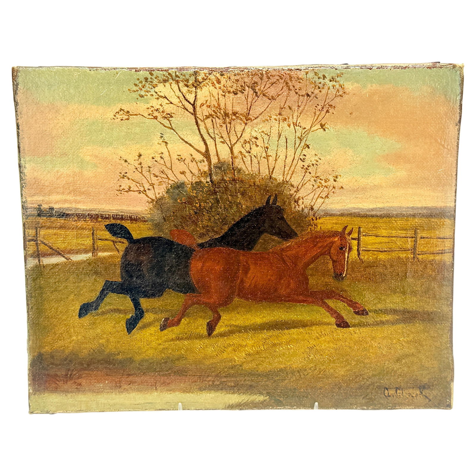 Albert Clark Two Horses at Play 19th Century Oil on Canvas (1 of 9)