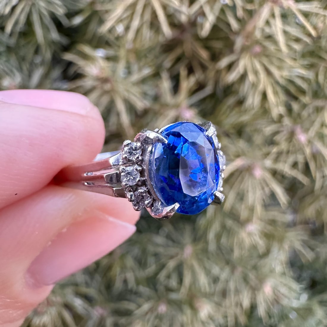 Platinum Ring with GIA Certified 3.43ct Ceylon No Heat Royal Blue Sapphire and Diamonds: Platinum Ring with GIA Certified 3.43ct Ceylon No Heat Royal Blue Sapphire and Diamonds This platinum cocktail ring features a 3.31 carat natural, no-heat royal blue Ceylon sapphire in an oval cut, pr