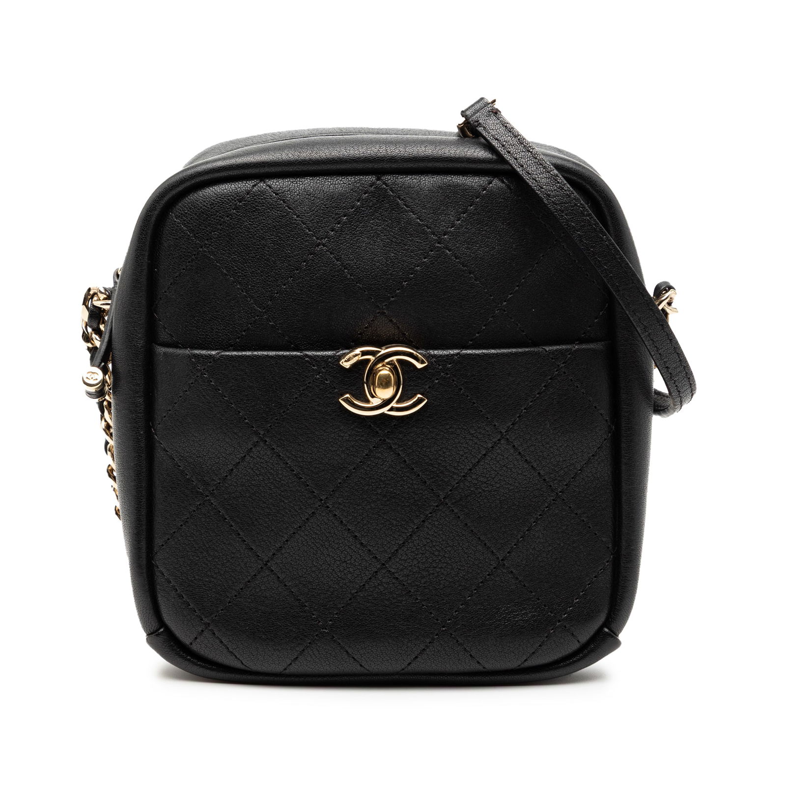 Chanel Casual Trip North South Quilted Goatskin Leather Camera Bag (1 of 7)