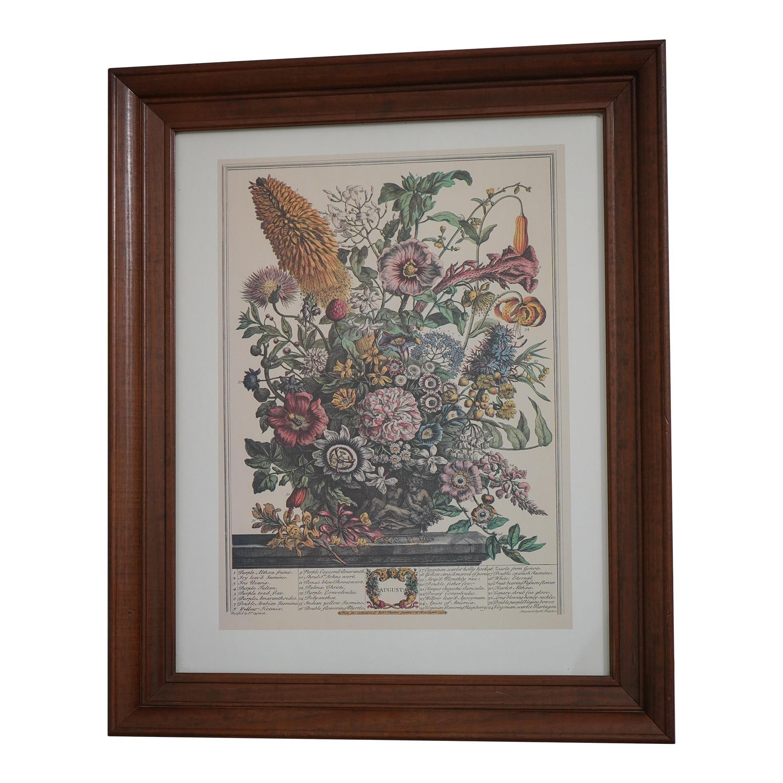 Colonial Williamsburg Cherry Framed Floral Botanical Print 30 Years Old: Colonial Williamsburg Cherry Framed Floral Botanical Print 30 Years Old This exquisite Cherry Framed Floral Botanical Anniversary Print captures the beauty of nature with its elegant design. The print