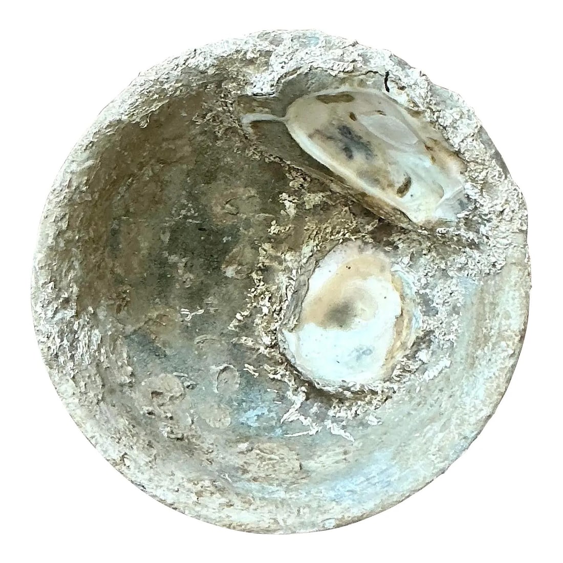 Ceramic Oyster Shell Bowl in Vintage Boho Coastal Style: Ceramic Oyster Shell Bowl in Vintage Boho Coastal Style This vintage Boho ceramic bowl is artfully crafted to resemble an oyster shell, featuring intricate detailing and a textured finish that mimics