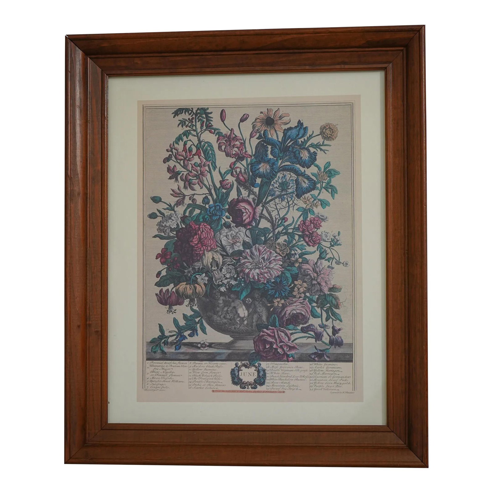 Colonial Williamsburg Solid Cherry Framed Floral Print June (1 of 9)