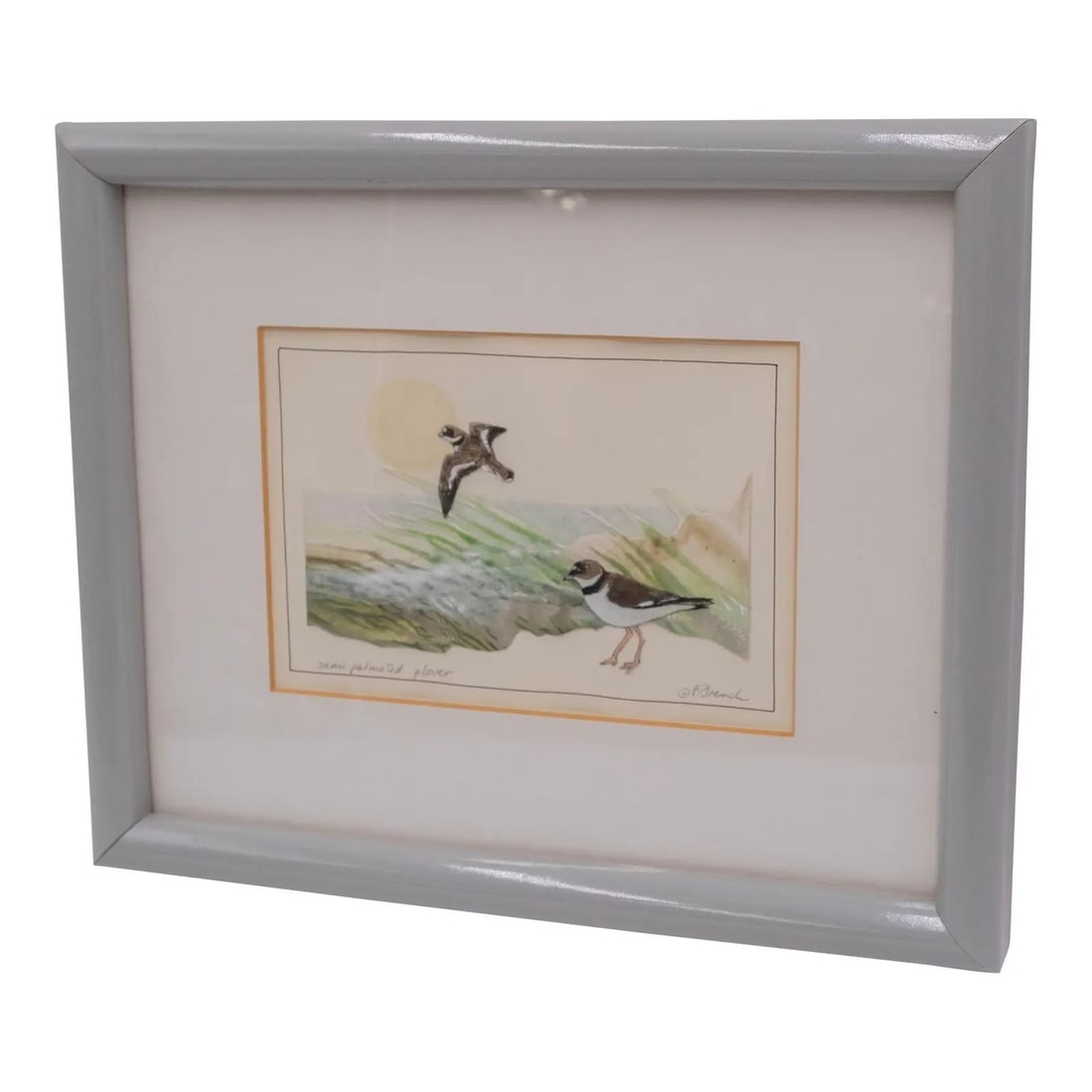 Signed Polly French Semipalmated Plover Watercolor Art (1 of 8)