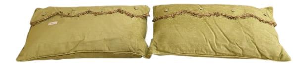 Elegant Pair of Large Rectangular Light Green Pillows with Beaded Accents: Elegant Pair of Large Rectangular Light Green Pillows with Beaded Accents Enhance your living space with this elegant pair of large rectangular decorative pillows in a soothing light green hue. Crafte