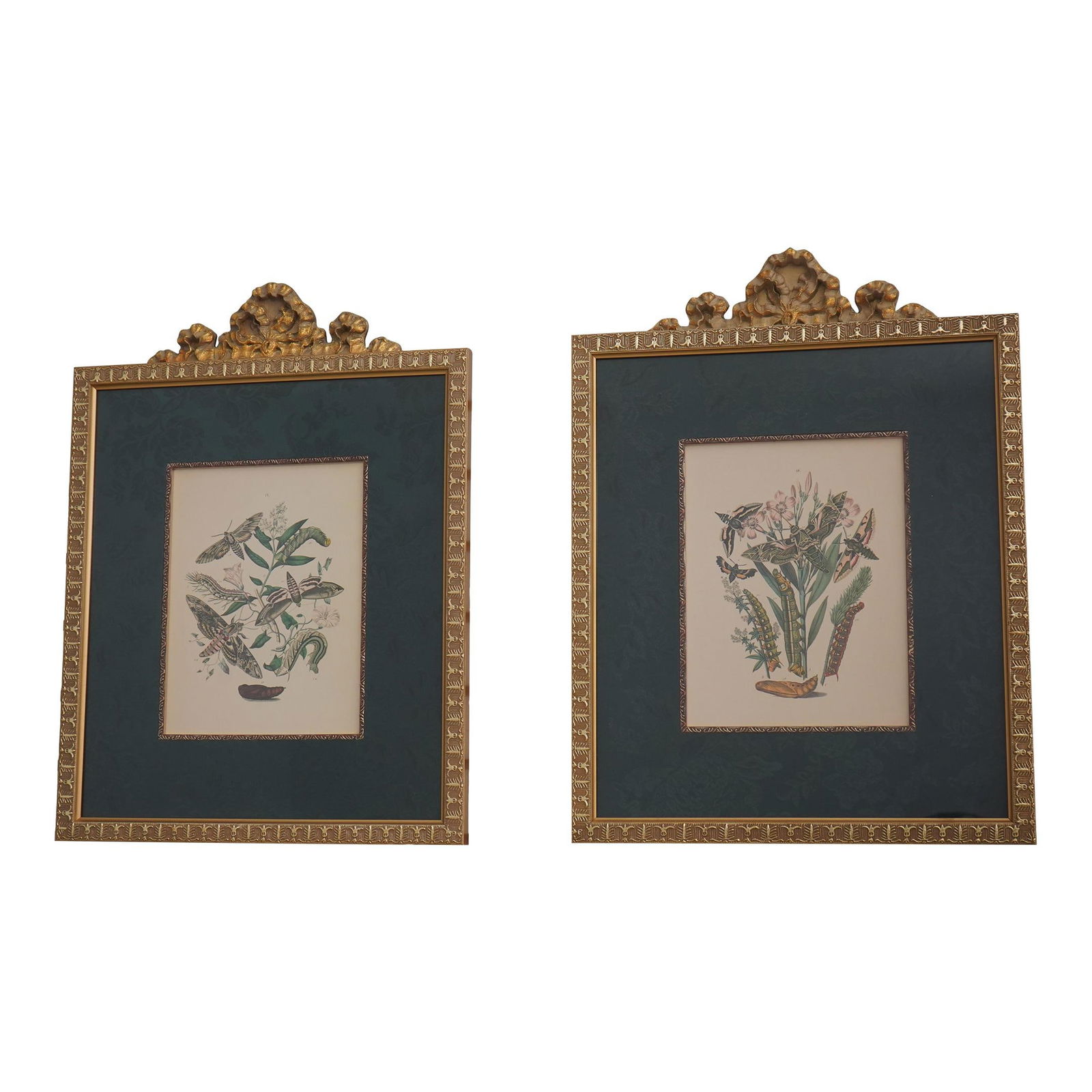 Antique Butterfly Engraving Prints Framed Gold Finish 150 Years Old: Antique Butterfly Engraving Prints Framed Gold Finish 150 Years Old This exquisite pair of vintage butterfly colored engraving prints boasts a rich history, approximately 150 years old. Professionally