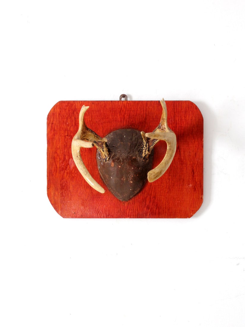 Early 20th Century Vintage Deer Antler Wall Mount on Red Plaque: Early 20th Century Vintage Deer Antler Wall Mount on Red Plaque This vintage deer antler wall mount from the early 20th century showcases authentic antlers mounted on a striking red wooden plaque. It