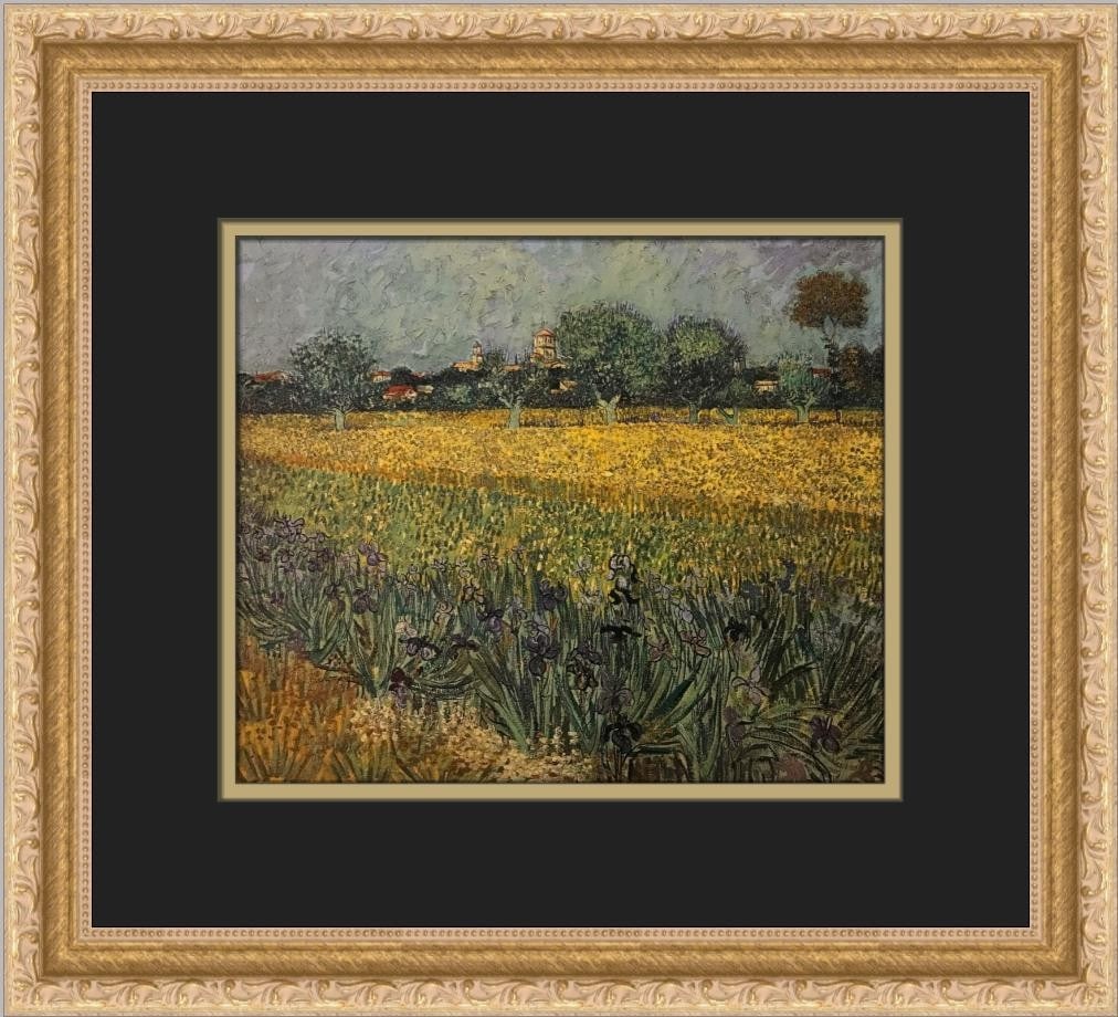 Vincent Van Gogh Field with Flowers Framed Print 15x13: Vincent Van Gogh Field with Flowers Framed Print 15x13 This stunning custom framed print features Vincent Van Gogh's iconic artwork "Field with Flowers near Arles". Measuring 13 in. by 15 in., this me