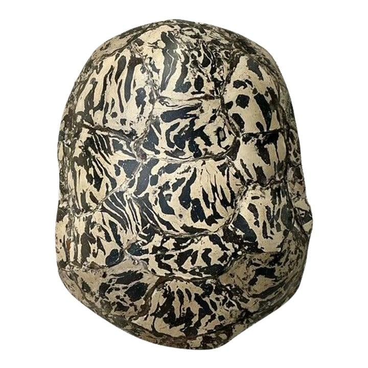 Scagliola Plaster Tortoise Shell Sculpture With Marbled Black and Cream Finish: Scagliola Plaster Tortoise Shell Sculpture With Marbled Black and Cream Finish This vintage artisanal sculpture features a domed turtle shell form crafted using the scagliola technique with heavy pigm