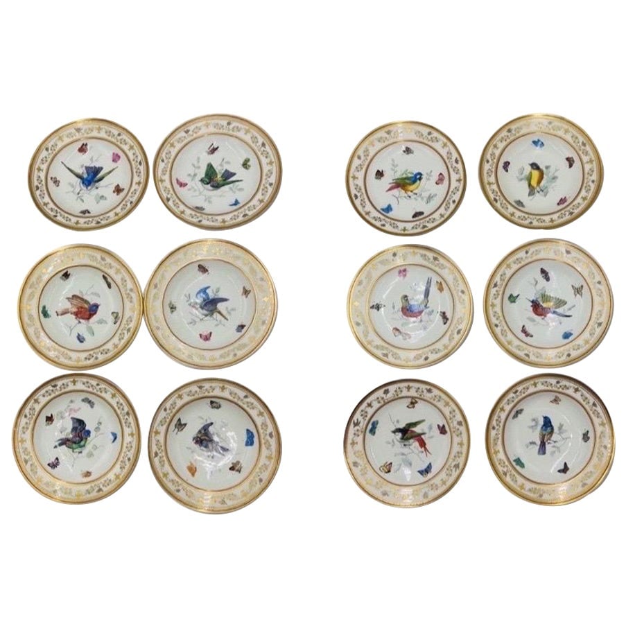 Set of 12 Royal Vienna Antique Ornithological Plates with Enamel Artwork: Set of 12 Royal Vienna Antique Ornithological Plates with Enamel Artwork This remarkable set of 12 Antique Royal Vienna Neoclassical Ornithological Porcelain Plates showcases exquisite craftsmanship f