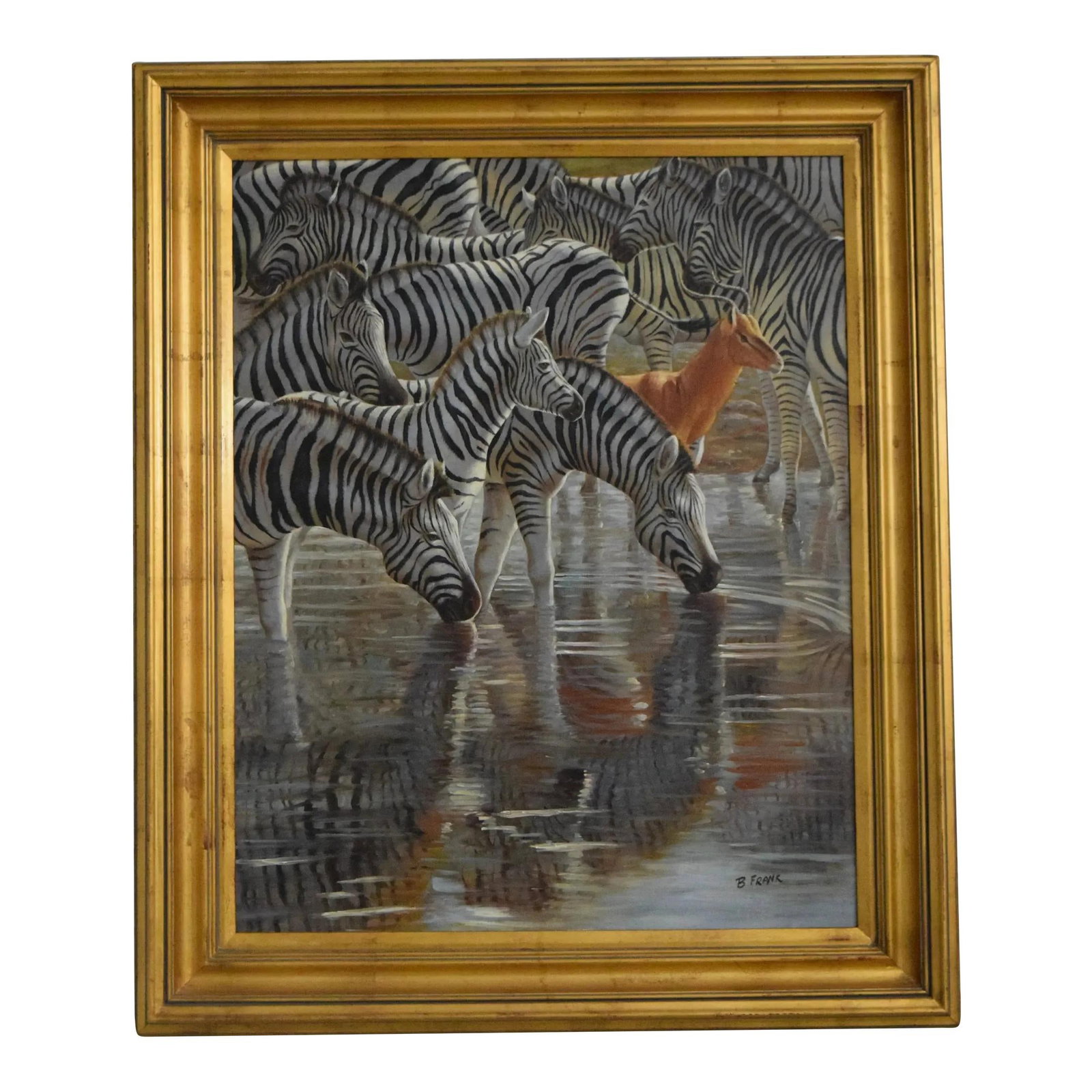 b.frank Signed Zebra Gazelle Oil Painting in Gold Frame 31x37: b.frank Signed Zebra Gazelle Oil Painting in Gold Frame 31x37 This exquisite framed oil painting features a stunning depiction of a zebra and gazelle, showcasing outstanding detail and bright, vibrant