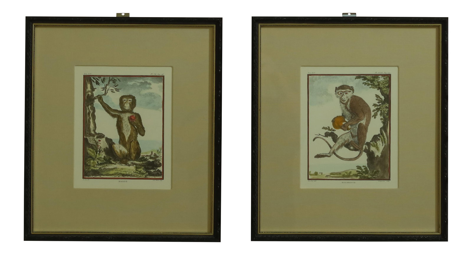 W King Ambler Framed Pair of French Monkey Prints C1790 Style (1 of 10)