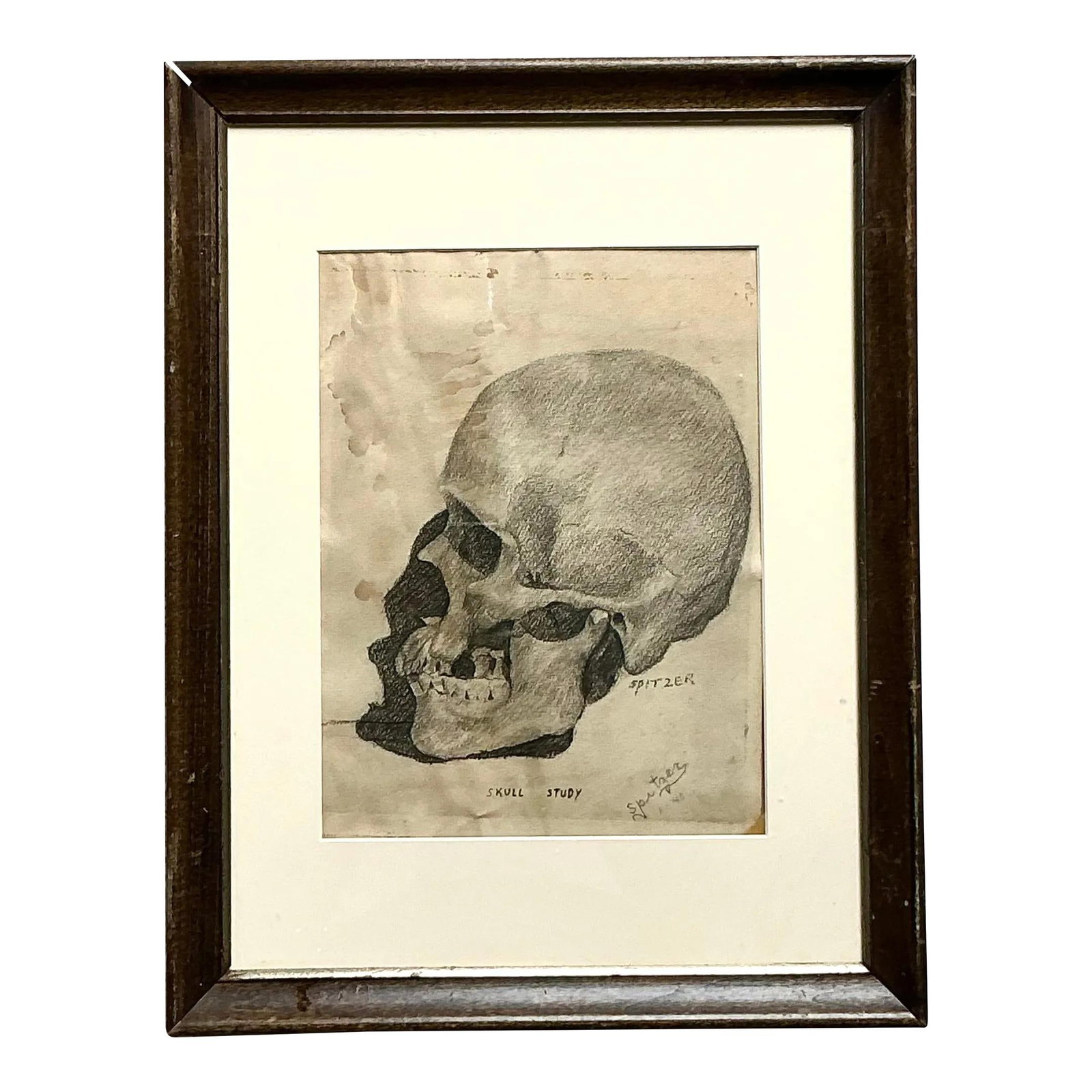 Vintage Boho Skull Pencil Sketch Art 14 x 18 in Ecru (1 of 10)