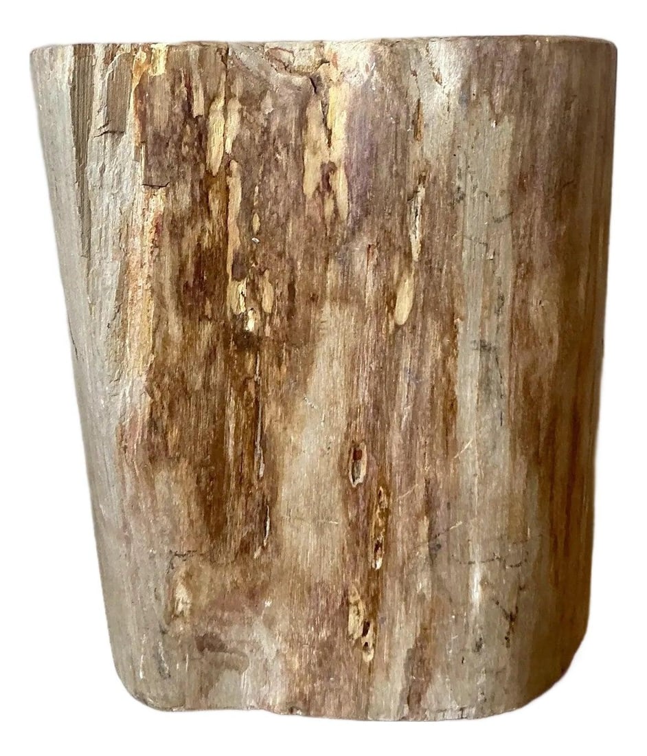 Petrified Wood Accent Stool with Organic Boho Style 14.25 x 8.75 x 15.5 (1 of 8)