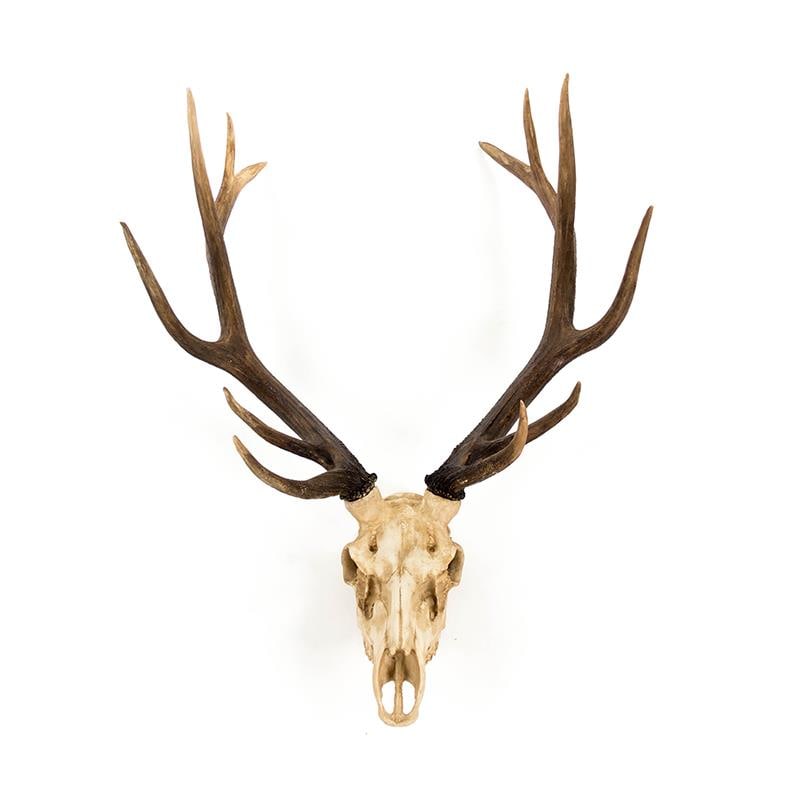 Zentique Chestnut Ivory Deer Skull Wall Decor 45.5H 32.5W 18.3D (1 of 3)