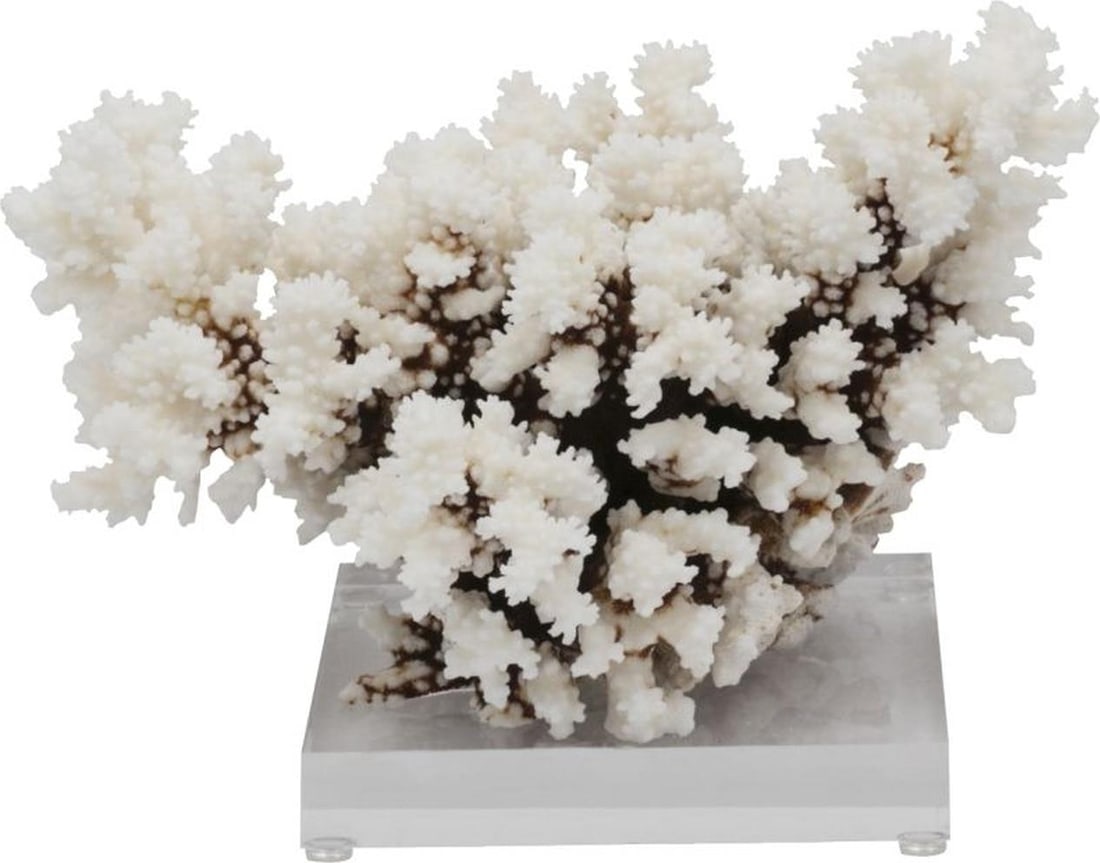 Handmade Coastal Brownstem Coral Sculpture on Acrylic Base (1 of 1)