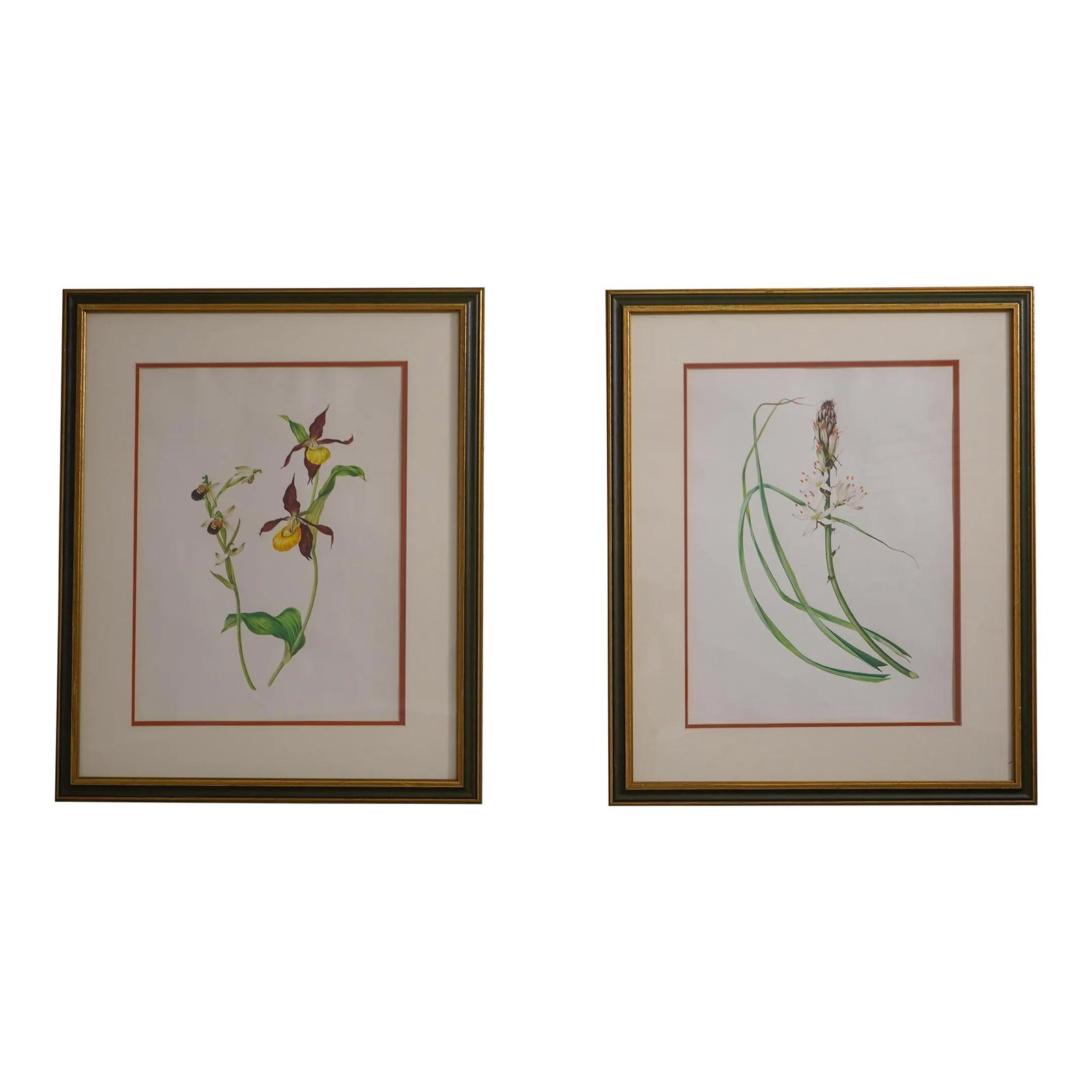 Vintage Botanical Prints in Gold Green Framed Wood 23.5 x 28.5 (1 of 10)