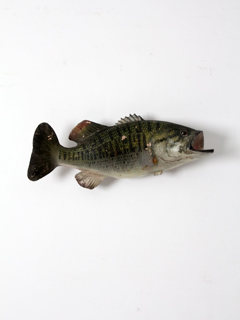 Vintage Largemouth Bass Taxidermy Wall Mount 22 Inch (1 of 8)