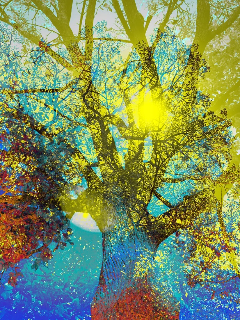 Brent Wickes Sunset Silhouettes Limited Edition Giclee Print Signed Custom Framed (1 of 2)