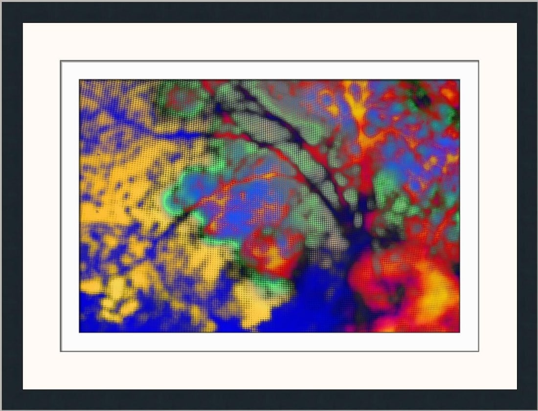 Brent Wickes Emerge Limited Edition Giclee Print Framed 2025 (1 of 2)