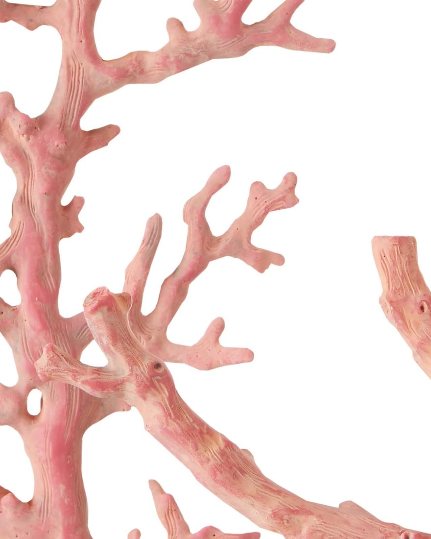 Currey Artisanal Red Coral Branches Display Decor Coastal Style (1 of 3)