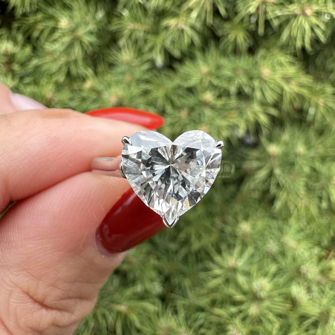 Tiffany Heart Brilliant Diamond Solitaire Platinum Ring 3.03ct GIA Certified: Tiffany Heart Brilliant Diamond Solitaire Platinum Ring 3.03ct GIA Certified This vintage Tiffany & Co. solitaire ring features a certified 3.03 carat heart-shaped natural diamond, graded F color and 