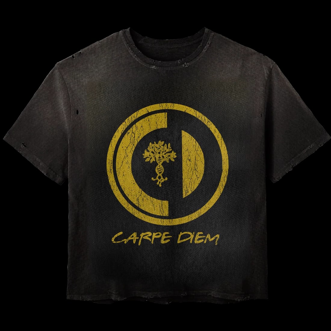 Extra Large Black Carpe Diem CPD Cotton Graphic T-Shirt: Extra Large Black Carpe Diem CPD Cotton Graphic T-Shirt The Carpe Diem CPD Black Tee is crafted from premium cotton and features a bold minimalist design with the "Carpe Diem" graphic. This t-shirt of