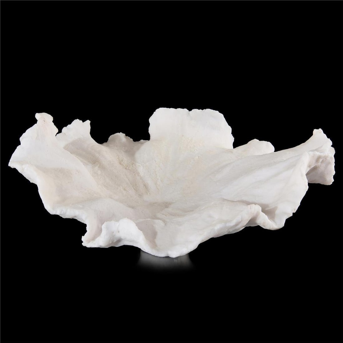 John-Richard Organic Modern Floating Wave Bowl Cream 22x22 (1 of 4)