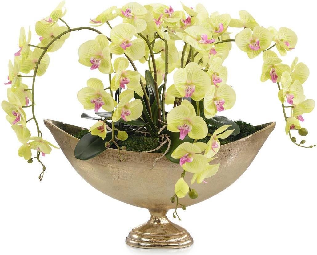 John-Richard Limelight Orchids in Gold Urn 31H x 35W x 18D: John-Richard Limelight Orchids in Gold Urn 31H x 35W x 18D Experience the beauty of nature with this exquisite pedestal urn featuring limelight orchids. This stunning piece showcases preserved mood mo