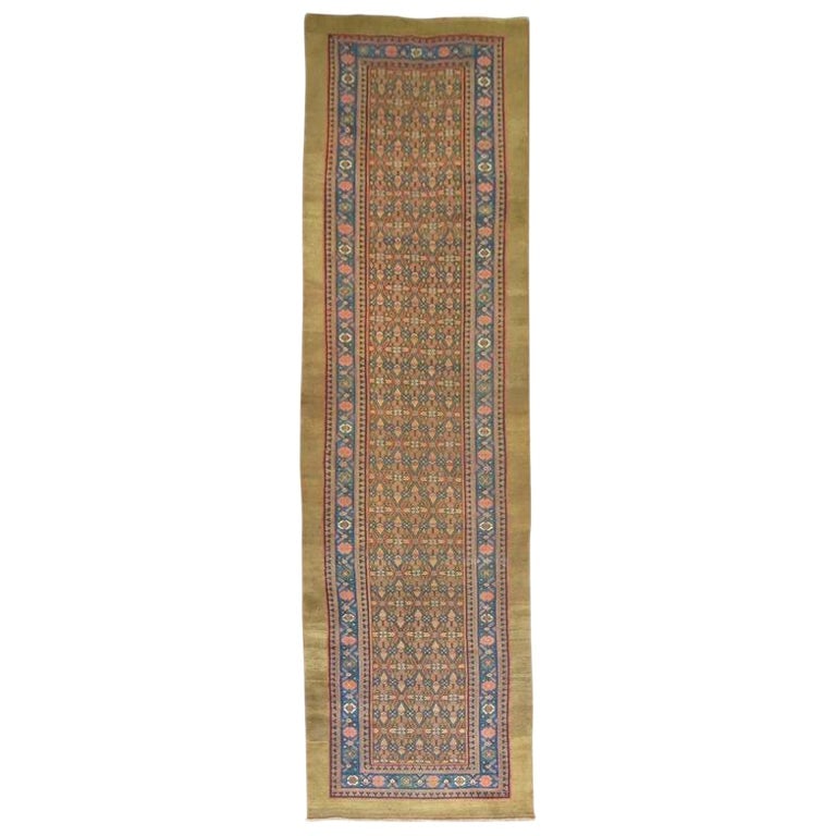 Zabihi Collection 20th Century Persian Serab Camel Hair Rug 3'4 x 14'2: Zabihi Collection 20th Century Persian Serab Camel Hair Rug 3'4 x 14'2 Experience the elegance of this antique camel hair Persian Serab runner, a stunning piece from the early 20th century. This hand-
