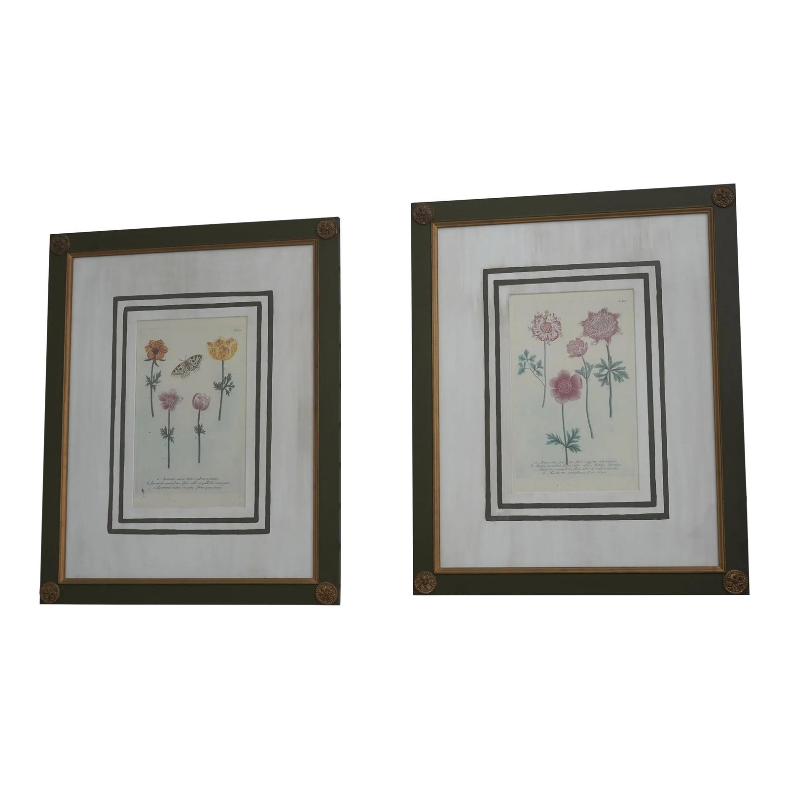 John Richards Green Framed Botanical Prints Pair Quality Art: John Richards Green Framed Botanical Prints Pair Quality Art Enhance your decor with this stunning pair of green framed botanical prints, expertly crafted and professionally matted. With approximately