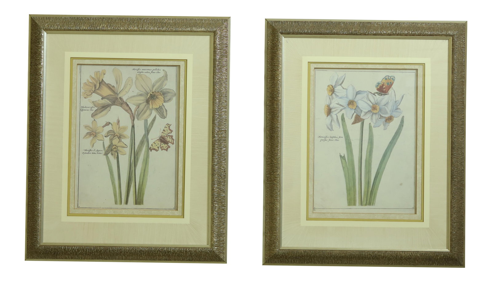Elegant Pair of Silver Framed Botanical Prints 23 x 28: Elegant Pair of Silver Framed Botanical Prints 23 x 28 This exquisite pair of silver framed and matted botanical prints is a testament to quality craftsmanship, approximately 20 years old. Each piece 