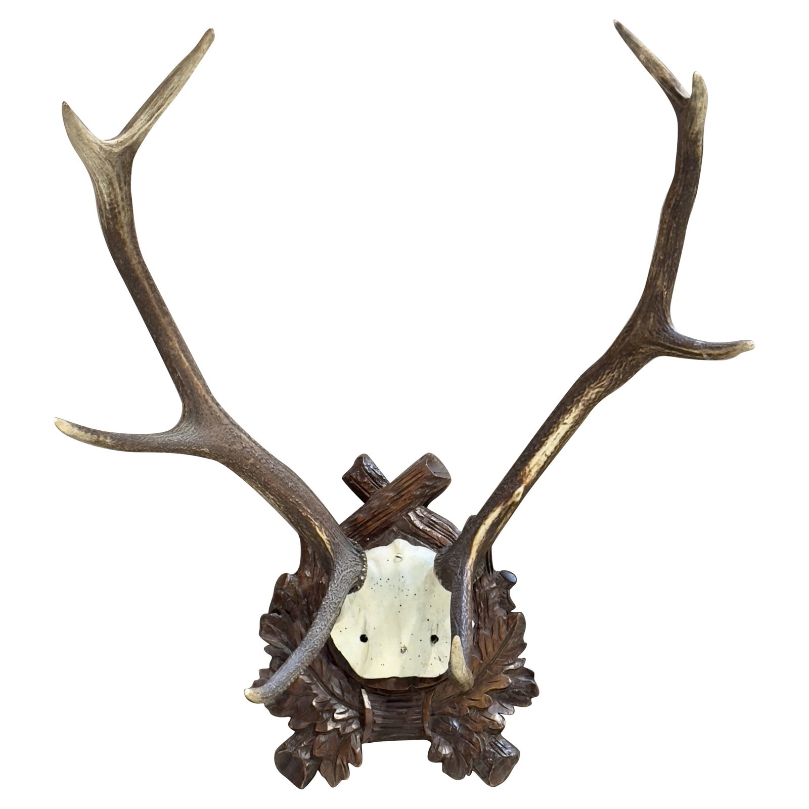 19th Century French Antler Trophy on Hand-Carved Walnut Plaque: 19th Century French Antler Trophy on Hand-Carved Walnut Plaque Add a touch of rustic charm to your hunting lodge or ranch house with this exquisite 19th Century French Mounted Deer Antler Trophy. This