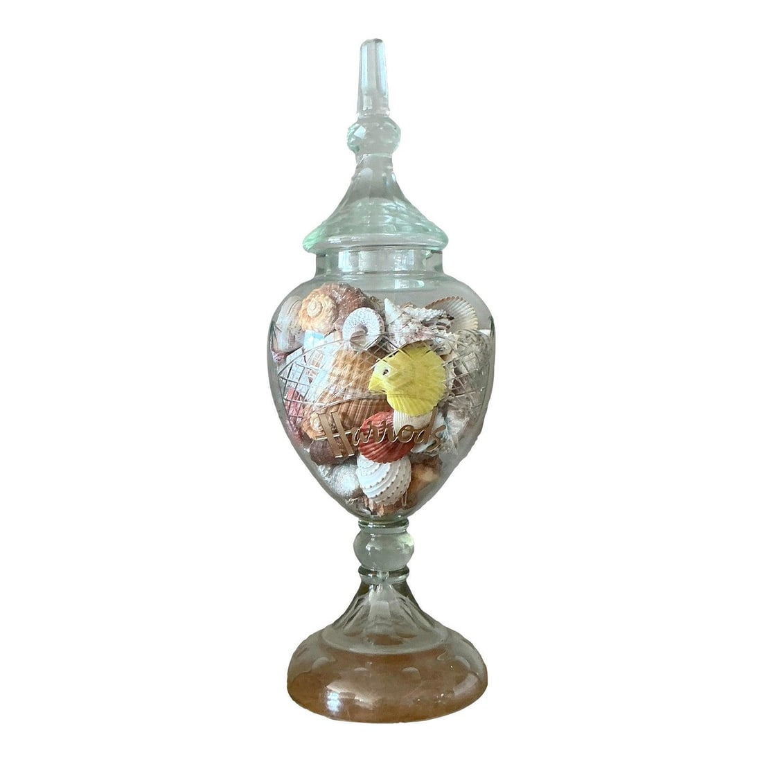 Harrods Hand-Blown Cut Glass Apothecary Jar With Seashell Collection: Harrods Hand-Blown Cut Glass Apothecary Jar With Seashell Collection This vintage apothecary jar, originally sourced from Harrods of London, features hand-blown glass with delicate cut-glass etchings 