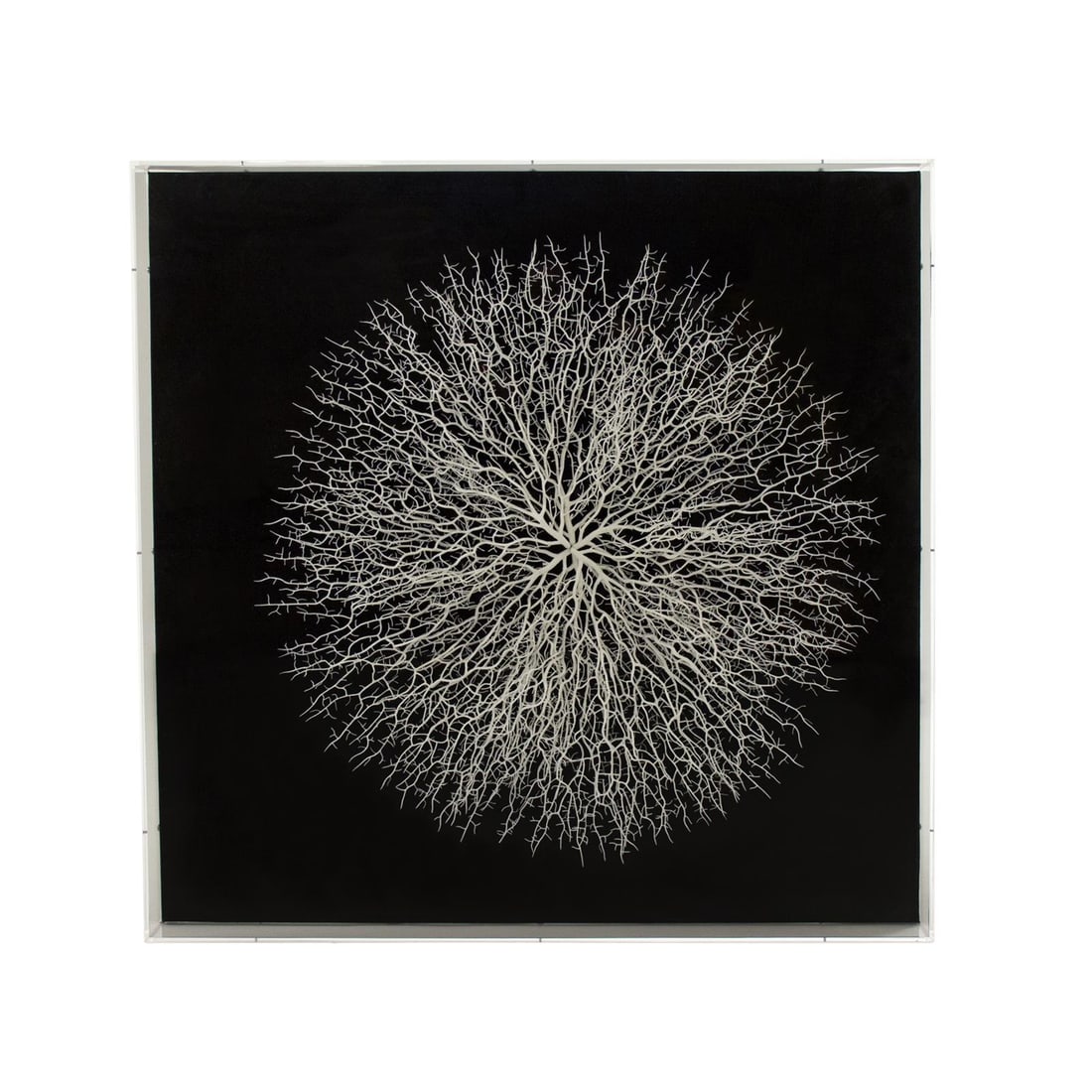 Zentique Branch Motif Acrylic Wall Art 35.50 Inch Transitional Style: Zentique Branch Motif Acrylic Wall Art 35.50 Inch Transitional Style Enhance your living space with this elegant branch motif acrylic wall art. Designed in a transitional style, this piece combines na