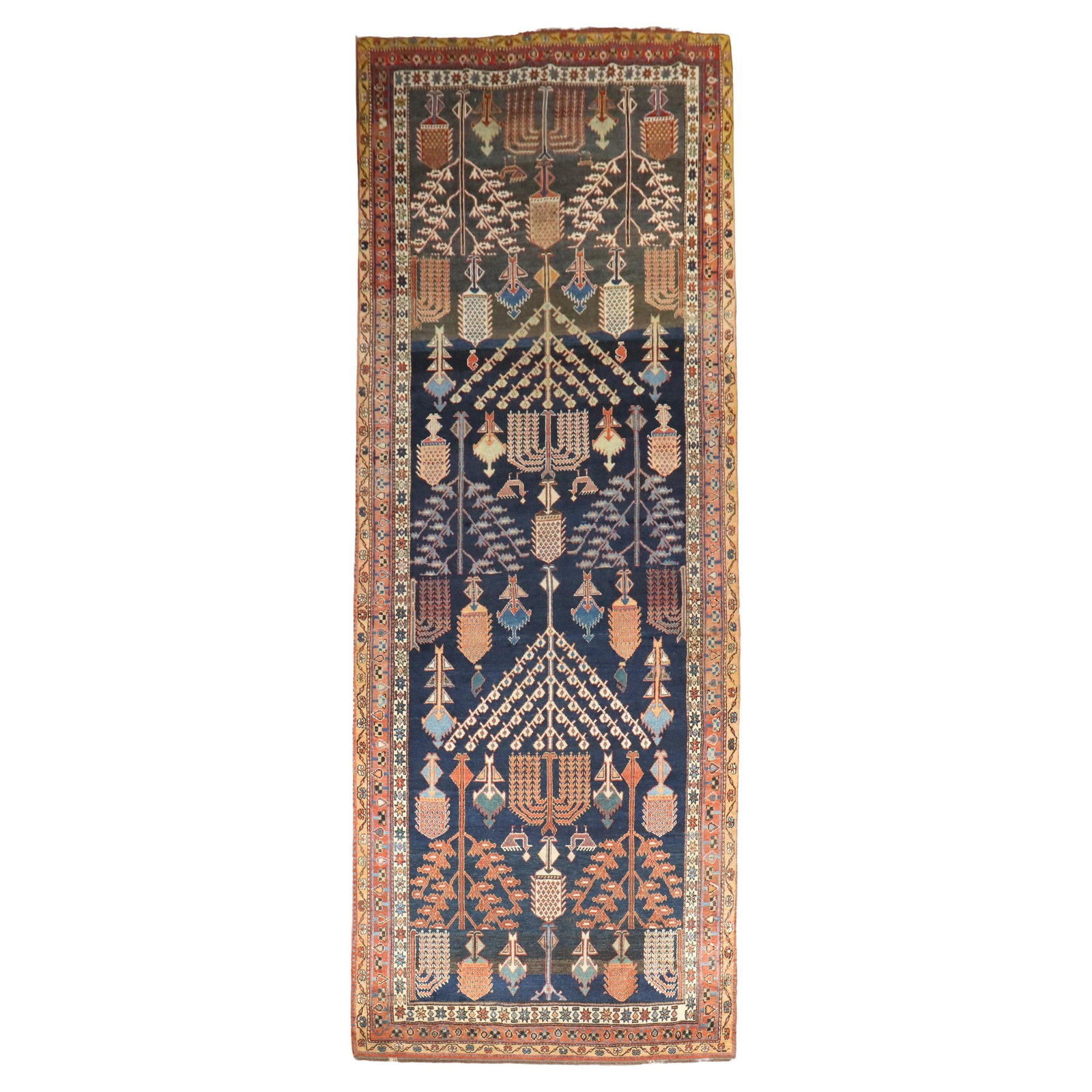 Rare 1920 Tribal Persian Bakhtiari Weeping Willow Rug 60 x 158 in: Rare 1920 Tribal Persian Bakhtiari Weeping Willow Rug 60 x 158 in This exquisite Weeping Willow Tree Tribal Persian Gallery Rug from the Zabihi Collection showcases a stunning all-over design that hig