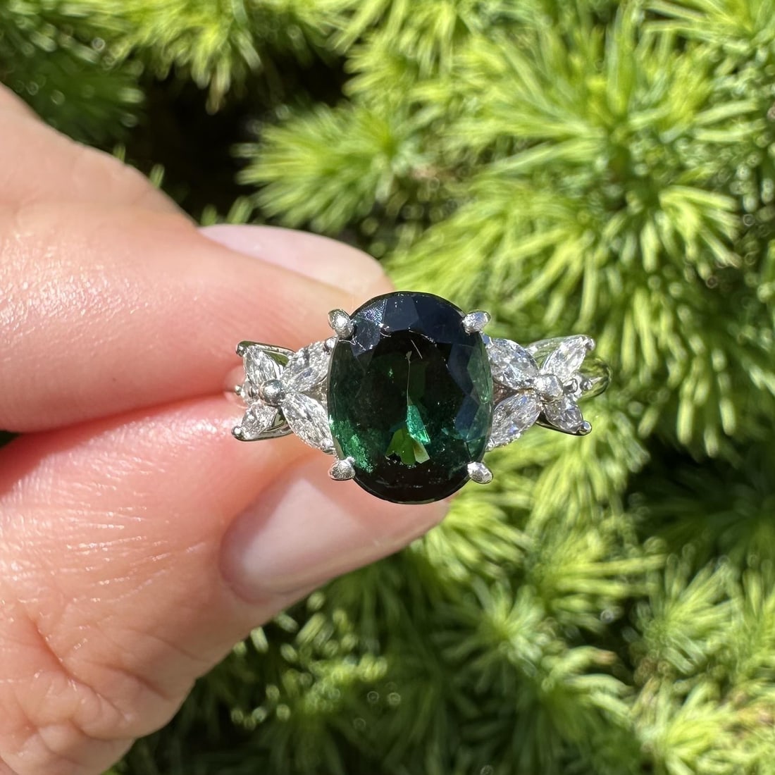 Platinum Tourmaline Butterfly Side Diamond Ring Size 7: Platinum Tourmaline Butterfly Side Diamond Ring Size 7 This elegant platinum ring features a striking bluish green natural tourmaline as its centerpiece, oval cut and prong set, measuring 9.3 x 7.2 mm