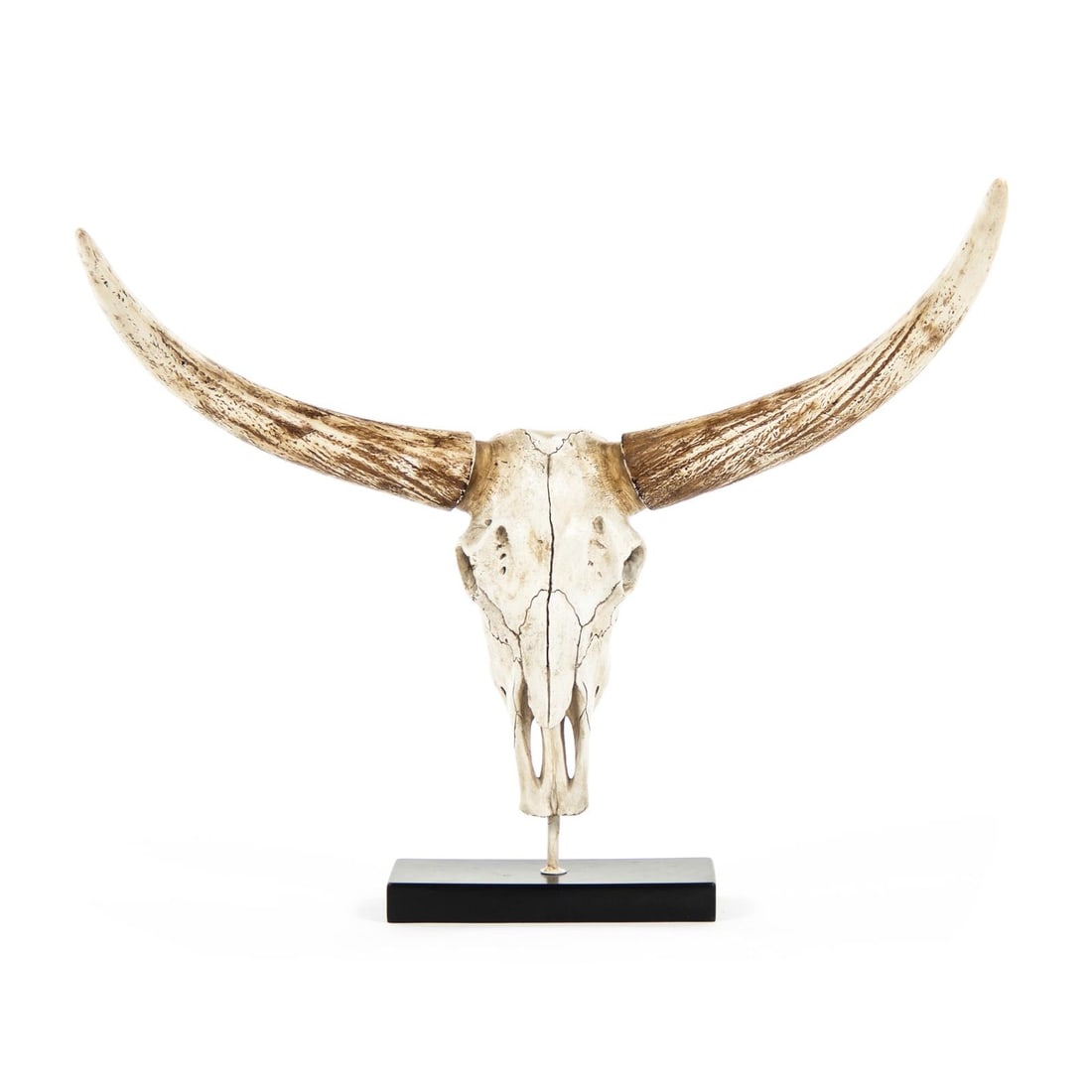 Zentique Elegant Bull Skull Wall Art Poly Resin Rustic Decor (1 of 3)