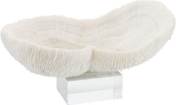 Handmade Feather Peanut Coral Sculpture on Acrylic Base (1 of 1)