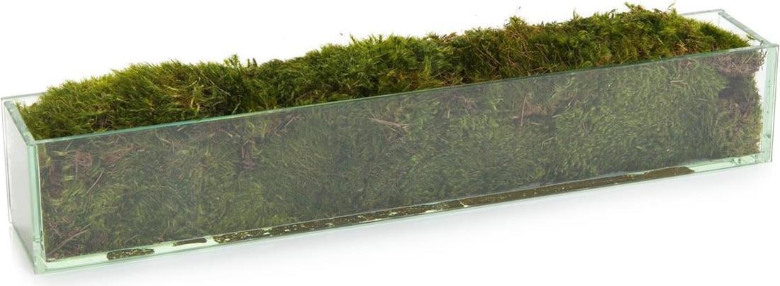 John-Richard Organic Modern Green Moss Planter 24 Inch (1 of 1)