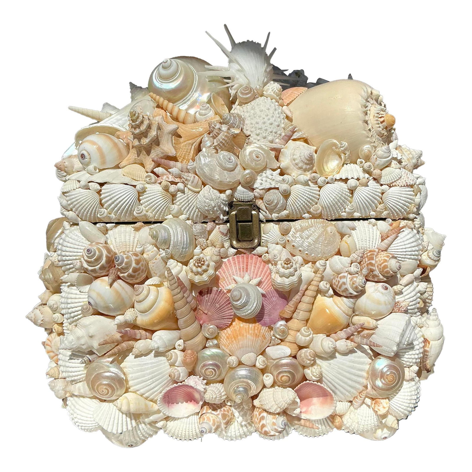 Vintage Coastal Shell Encrusted Decorative Box Ivory Wood (1 of 7)