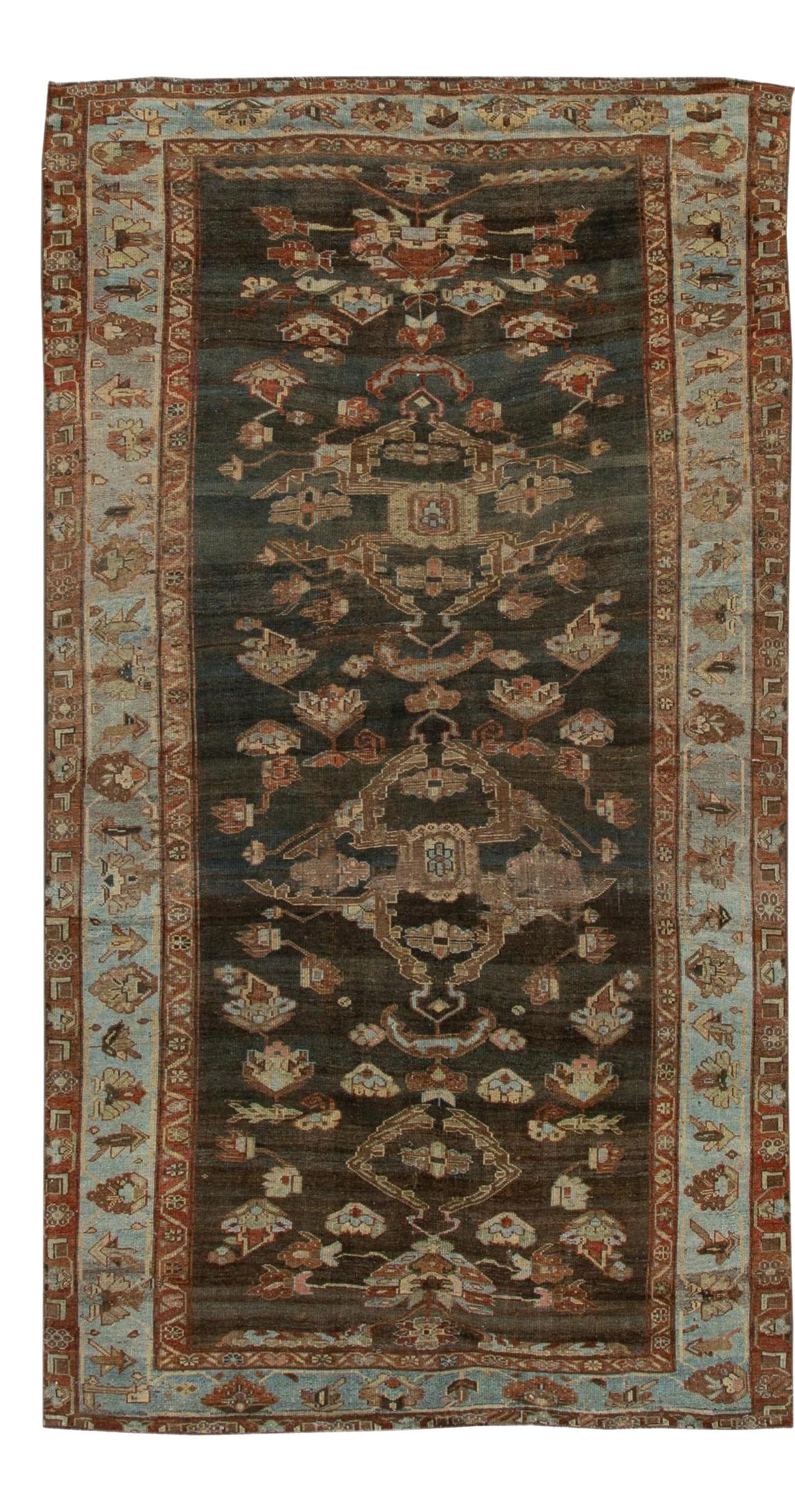 Antique Bidjar Hand-Knotted Floral Wool Runner 5'4 x 9'9: Antique Bidjar Hand-Knotted Floral Wool Runner 5'4 x 9'9 This exquisite antique Bidjar rug features a hand-knotted wool construction, showcasing a rich brown field complemented by a light-blue frame. 