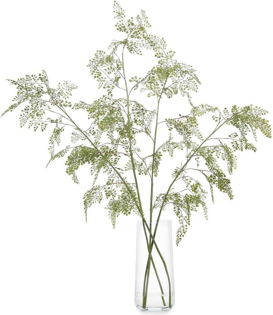 John-Richard Aqua Fern Vase Light Green Transparent 53H Stylish Decor (1 of 1)