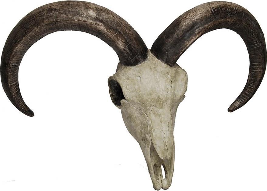 Provence Home Resin Ibex Skull Wall Mount Sculpture Ebony Ivory Finish (1 of 1)